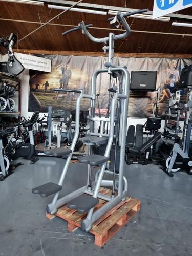 Technogym assist chin dip - ,