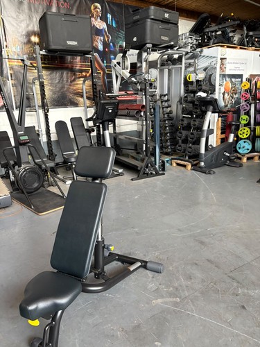 Technogym adjustable bench - ,