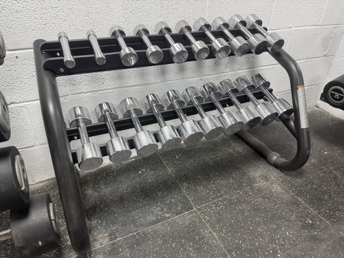 Technogym 10kg dumbbells - 1-10kg,