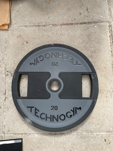 Technogym weighted plates - technogym, 20kg