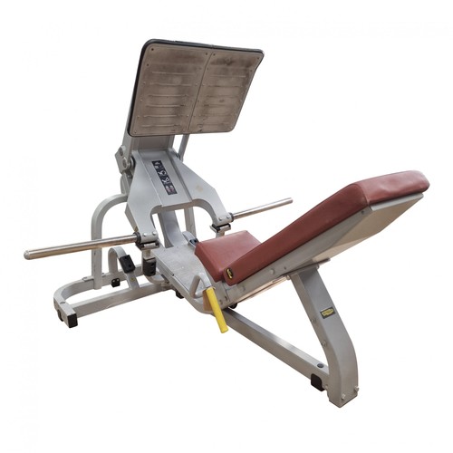 Technogym pure strength plate - technogym,
