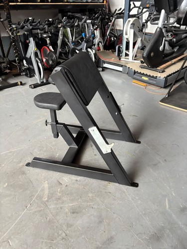 Watson preacher curl bench - watson,