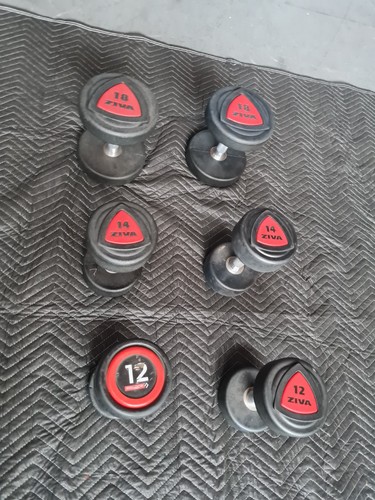 Pairs dumbells 12kg - of,