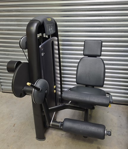 Technogym selection leg curl - leg,